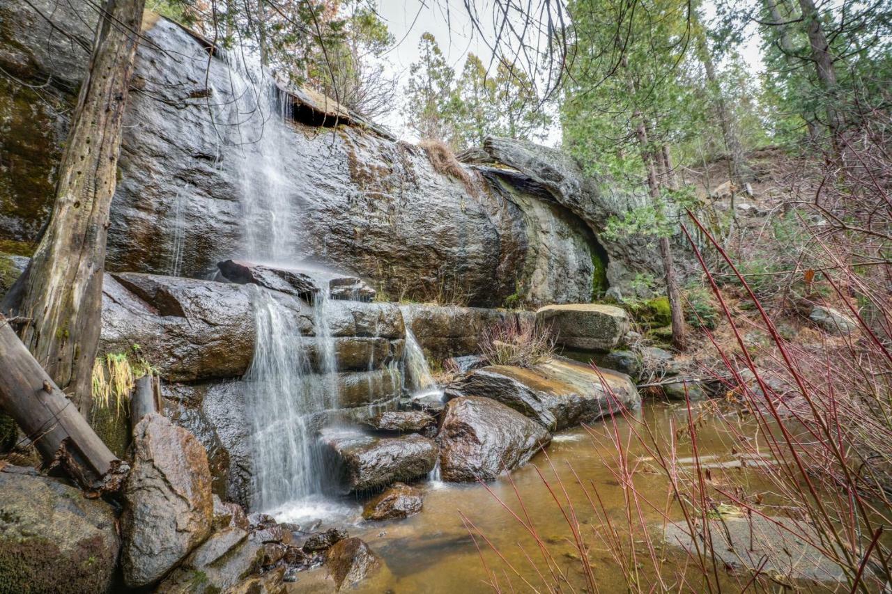 Forest Falls Shaver Lake Bagian luar foto